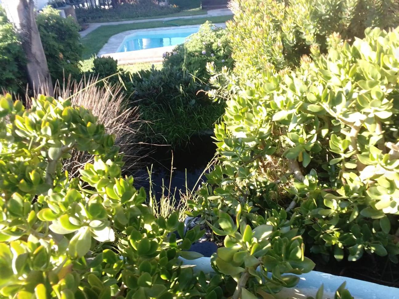 Coco De Mer Self Catering Log 1 Lambert's Bay Exterior photo